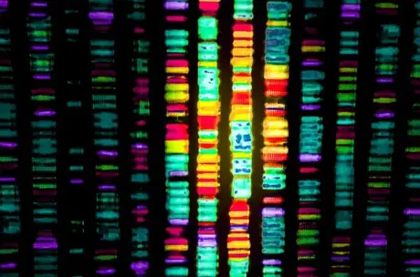 US Supreme Court Rules that Human DNA Cannot be Patented