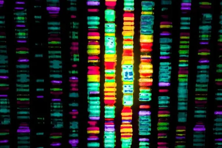 US Supreme Court Rules that Human DNA Cannot be Patented