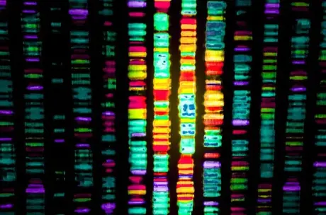 US Supreme Court Rules that Human DNA Cannot be Patented