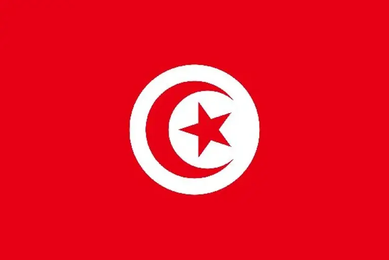 Tunisian flag