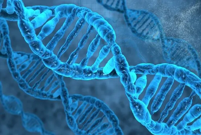 BRCA1 Gene US Patents Judged Too Broad