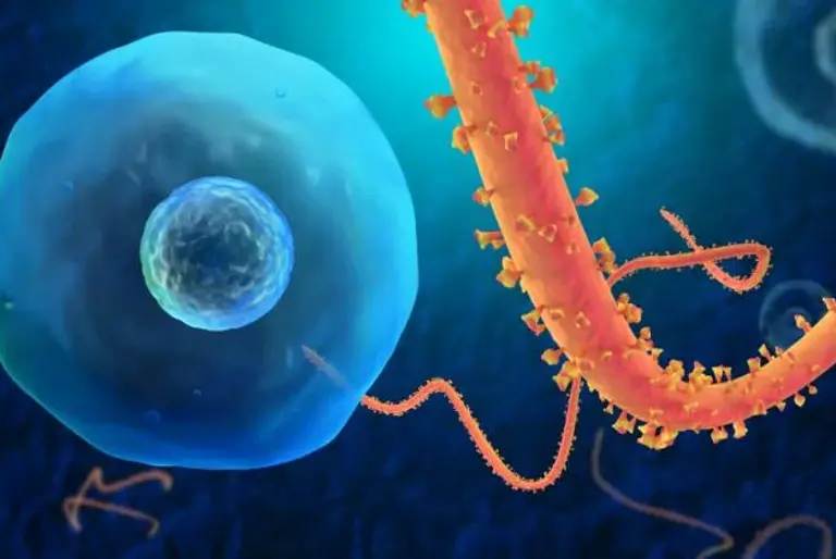 US Government and Ebola