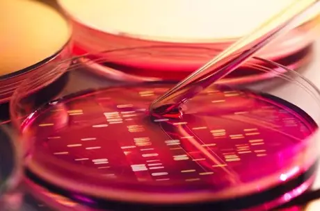 UK Life Science Boost